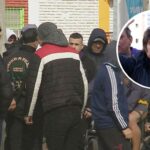 Mar del Plata: recuperan un cuadro que había sido robado por los nazis