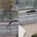 Alerta por un puma suelto en la costa atlántica