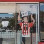 Por qué hay una invasión de hormigas voladoras en el AMBA