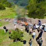 Tragedia en Río Negro: un hombre fue al baño, lo mordió una serpiente y murió