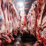 La IA juega su futuro en el Año Nuevo chino