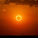 Insólita campaña de Neuquén para impulsar la vacunación de los «therians»
