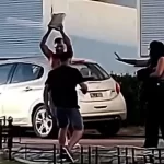 La conmovedora historia de Punch, el mono bebé abandonado que se aferra a un orangután de peluche