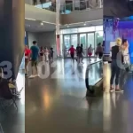 Pasajeros del Tren Roca tuvieron que autoevacuarse tras un accidente en Glew