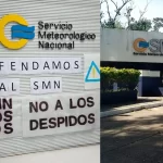 En Narnia: Milei lanzó video con IA donde aparece como león y Cristina es un mono