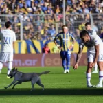 Indignante: Galperín se burló de una jubilada que no llega a fin de mes