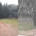 Arranca el séptimo mes del año y los memes de Julio Iglesias invaden las redes sociales
