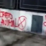 Quince policías para detener a un vendedor de paltas: el insólito operativo de la Ciudad
