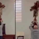 Robó la propina de una cafetería y la empleada lo frenó en seco: “Te voy a dar de comer”